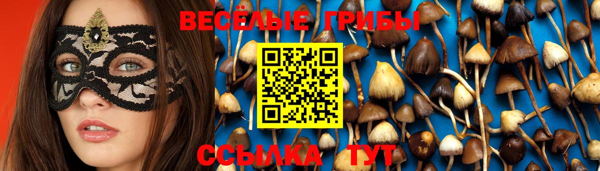 Зима  Галлюциногенные грибы Cubensis  купить наркотики цена  Вход с VPN  Псилоцибиновые грибы MAGIC MUSHROOMS 